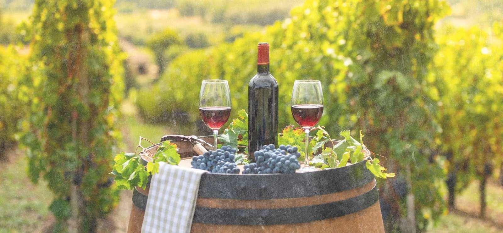 Weinbau & Landwirtschaft